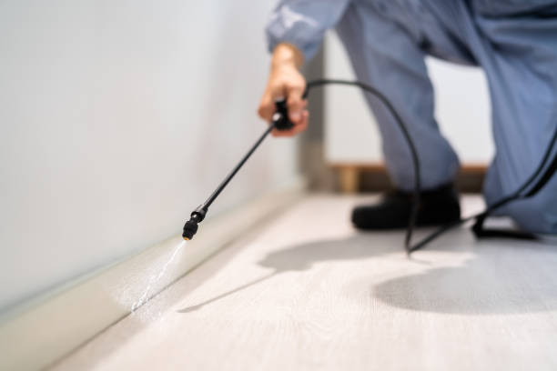 Licensed Pest Control service in Westville, IL - Show Me Pest Control
