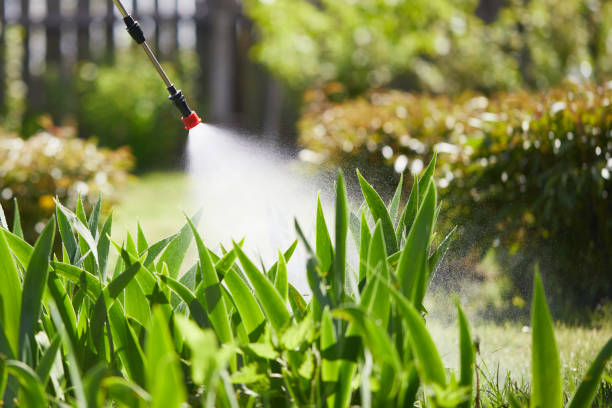 Void Injection for Cockroach Colonies in Westville
