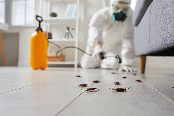 Commercial Kitchen Cockroach Control in Westville